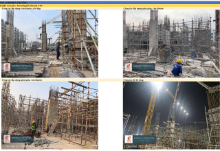 noble crystal Long biên